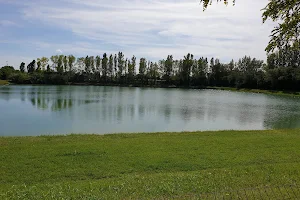 Parco Del Cormorant image