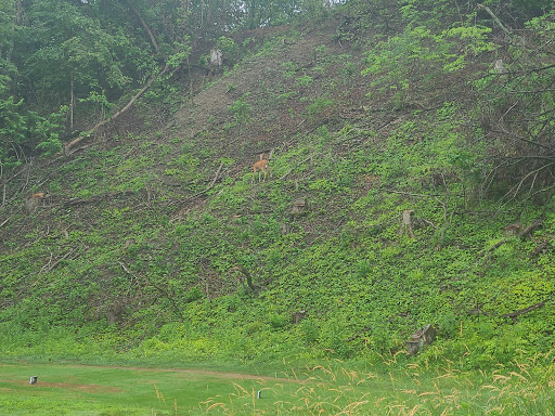 Golf Course «Tournament Club of Iowa», reviews and photos, 1000 Tradition Dr, Polk City, IA 50226, USA