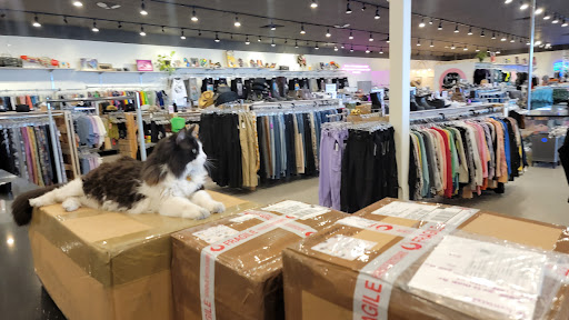 Used Clothing Store «iconoCLAD», reviews and photos, 414 300 S, Salt Lake City, UT 84111, USA