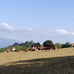 Photo n°1 de l'avis de Tamara.a fait le 29/06/2021 à 21:59 sur le  Agriturismo Il Ristoro di Cervoli à Pratovecchio Stia
