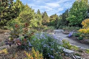 SSC Arboretum image