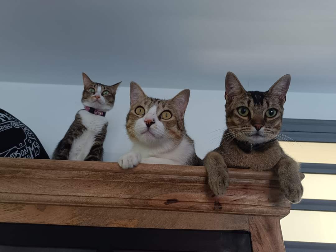 Photo n° 1 de l'avis de Baptiste.A fait le 15/11/2023 à 17:29