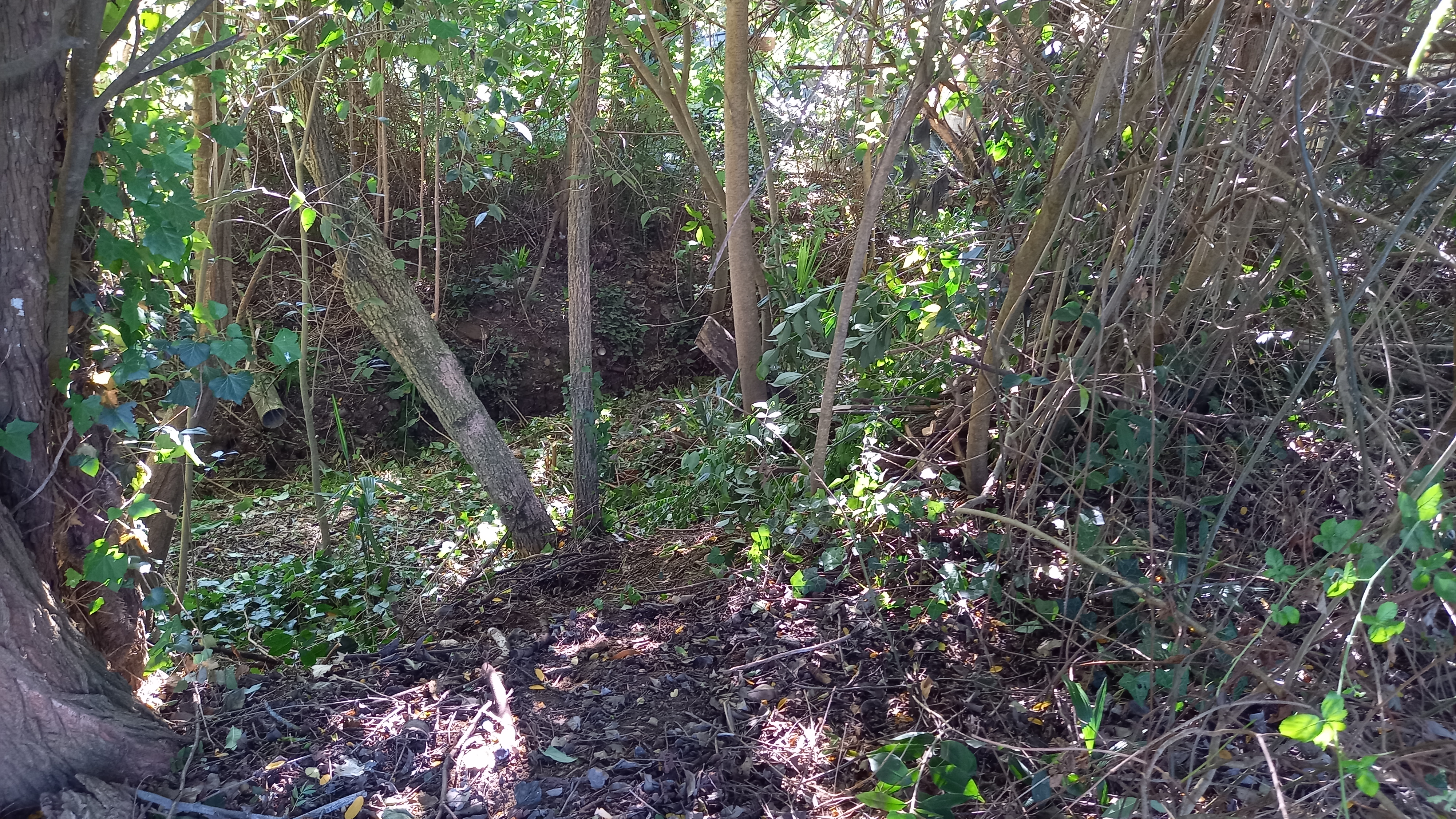 Photo n° 1 de l'avis de Monique.o fait le 05/10/2022 à 15:35