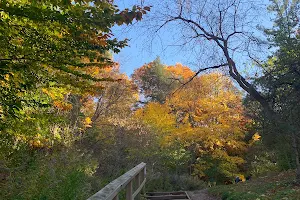 Serena Gundy Park image