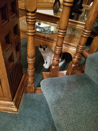 Art Gallery «Eccles Community Art Center», reviews and photos, 2580 Jefferson Ave, Ogden, UT 84401, USA