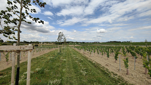 Conservatoire de la biodiversité ESSENTIA à Puisieulx