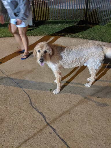 Veterinarian «PetCoral Resort and Veterinary», reviews and photos, 924 Del Prado Blvd, Cape Coral, FL 33990, USA