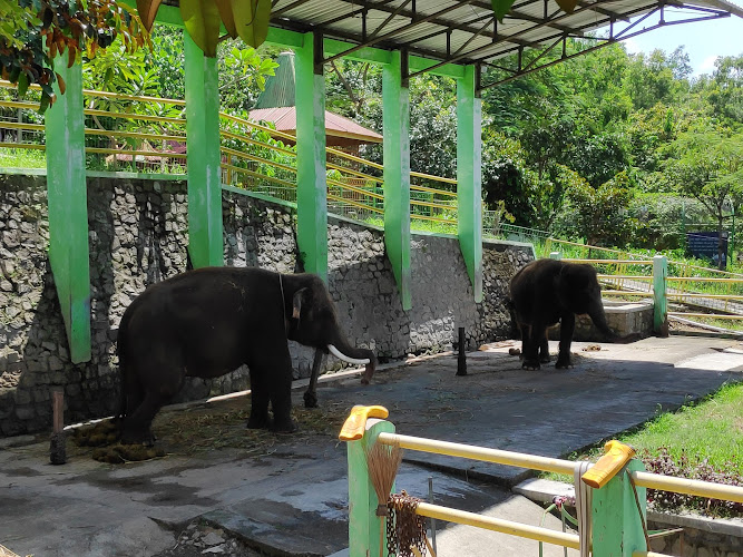 Taman Satwa Gajah Mungkur