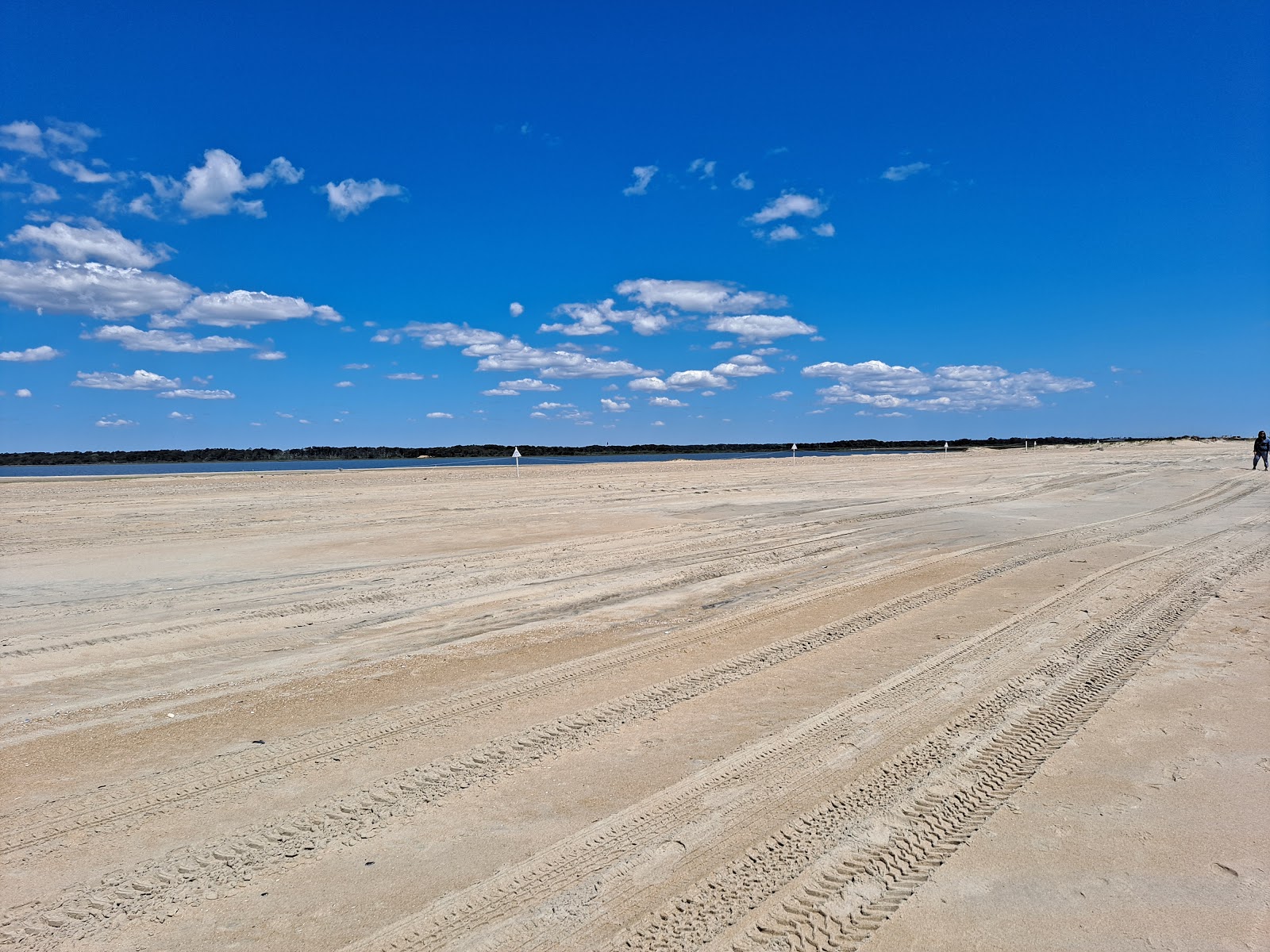 Assateague beach photo #8