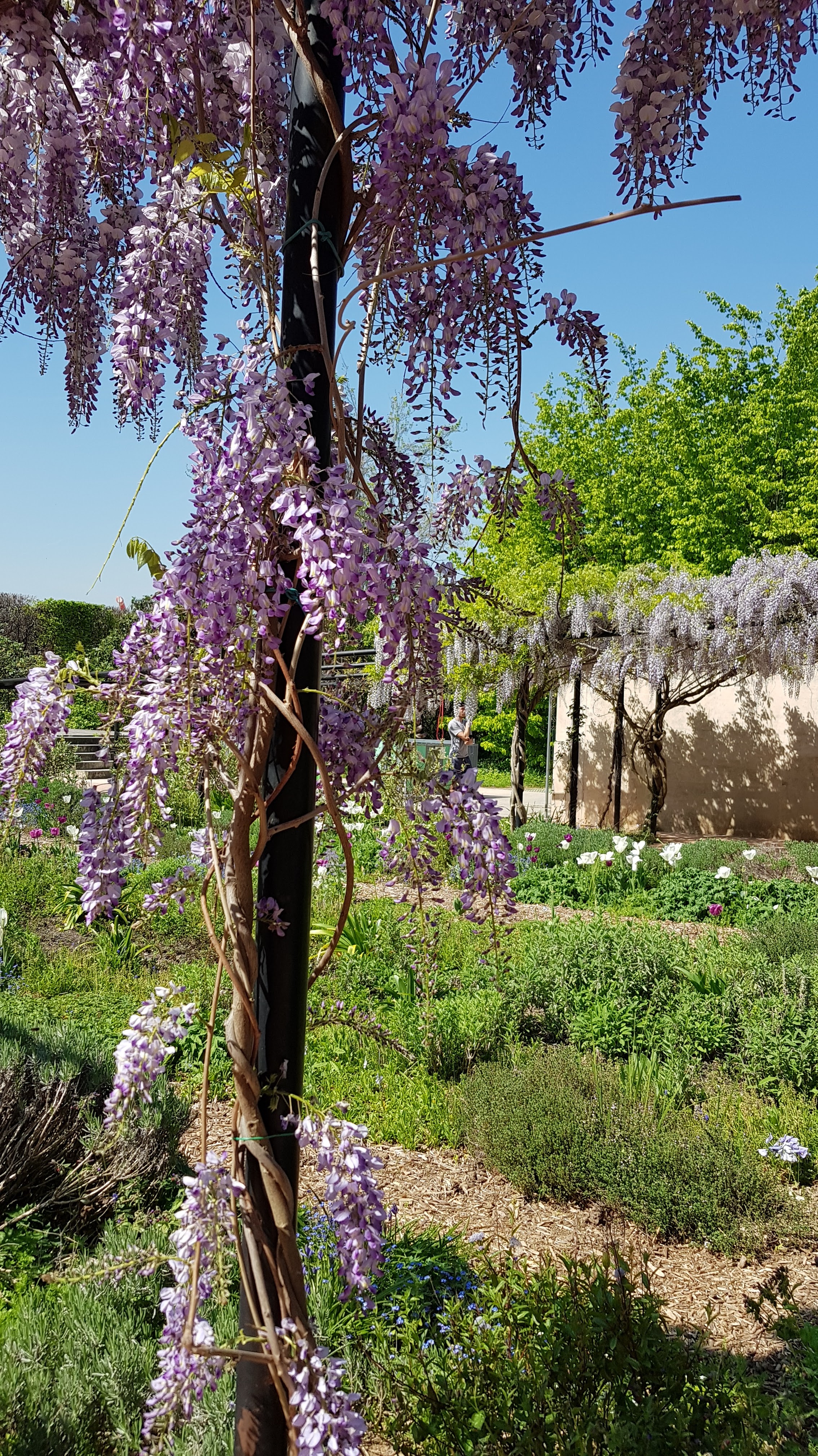 Photo n° 11 de l'avis de Laperle.i fait le 21/04/2019 à 00:27