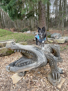 Hölzener Alligator Unnamed Road, 63875 Mespelbrunn, Deutschland