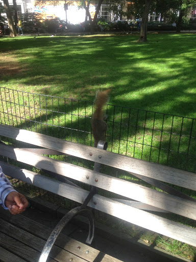 Park «Madison Square Park», reviews and photos, 11 Madison Ave, New York, NY 10010, USA