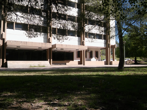 University courses Mendoza