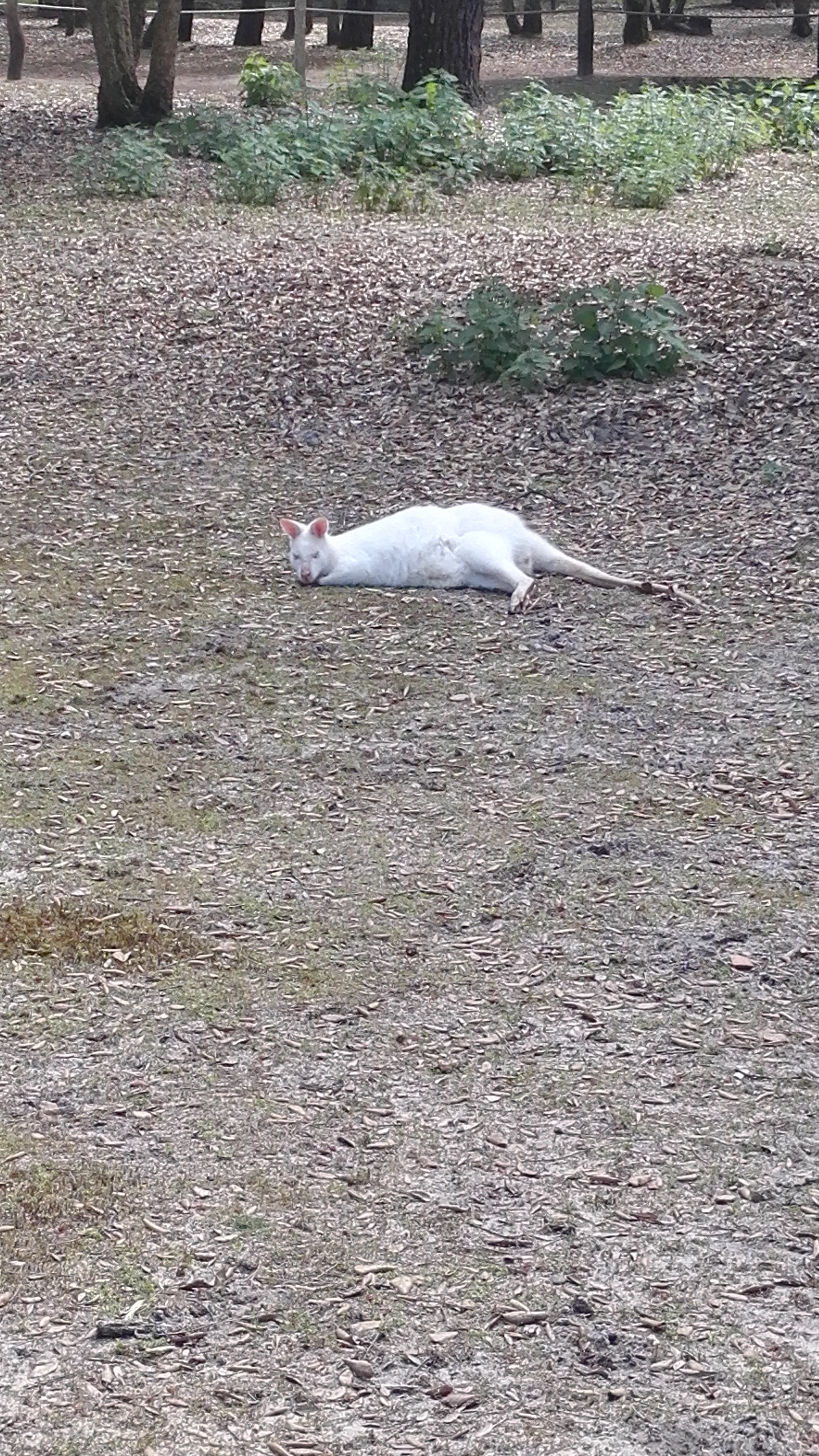 Photo n° 3 de l'avis de Stéphane.u fait le 24/05/2018 à 14:33