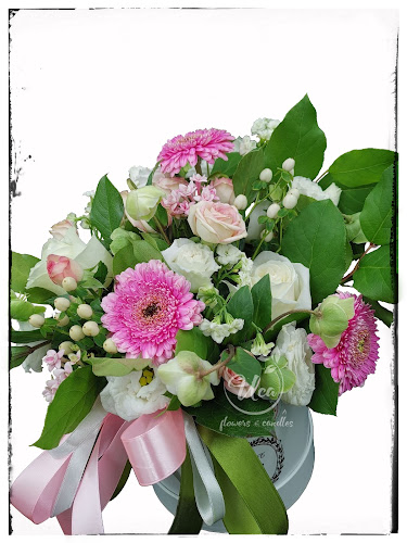 Florarie Tulcea - Uca Flowers & Candles - <nil>