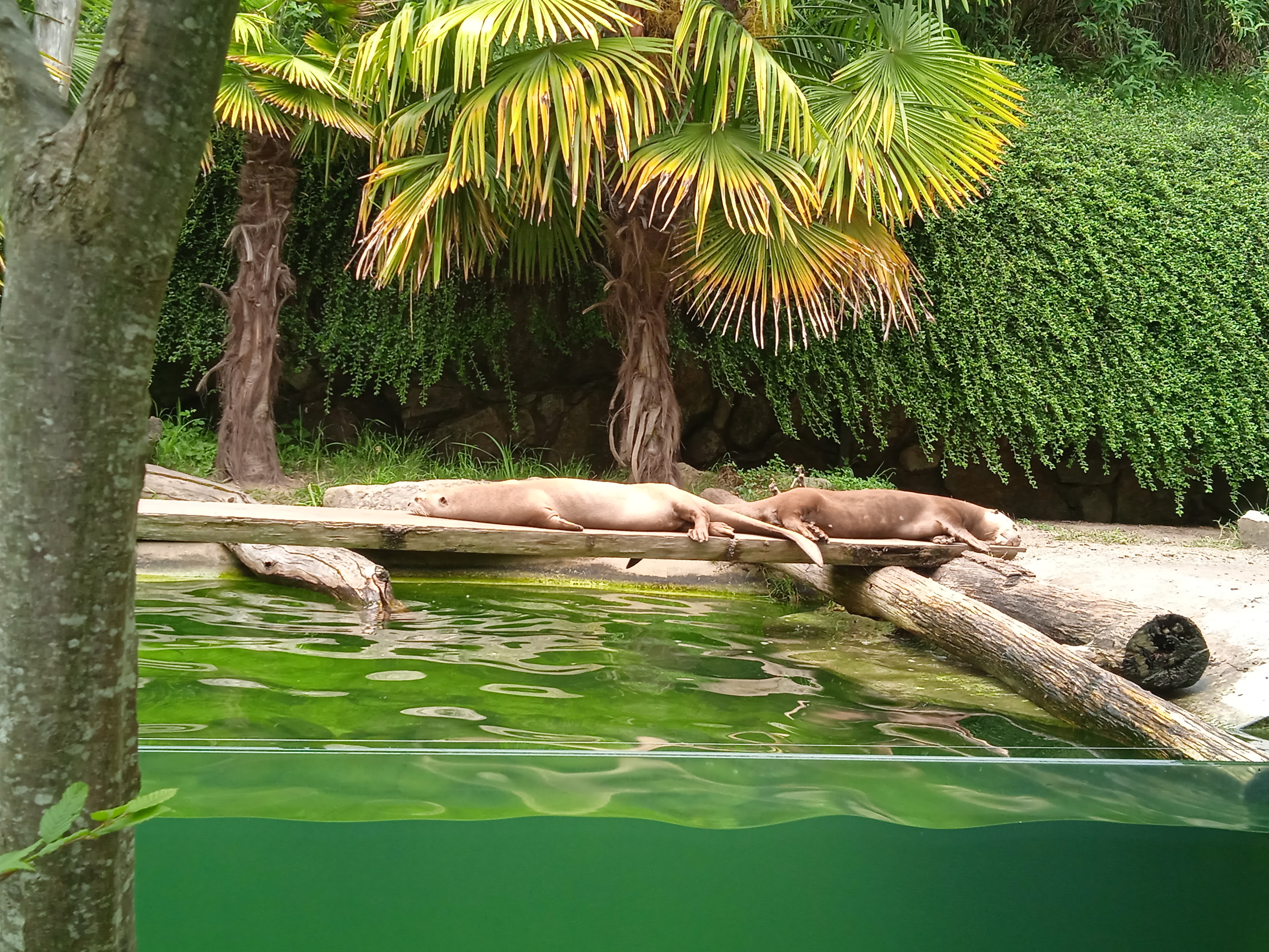 Photo n° 6 de l'avis de Gamer.p fait le 04/06/2022 à 18:21