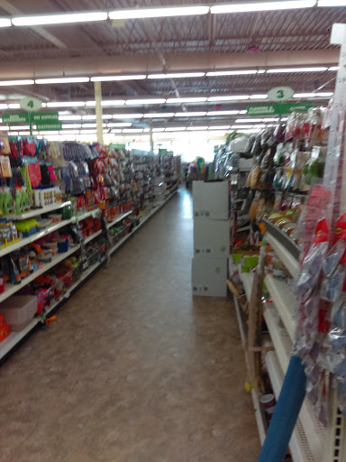 Dollar Store «Dollar Tree», reviews and photos, 830 W Main St, West Dundee, IL 60118, USA