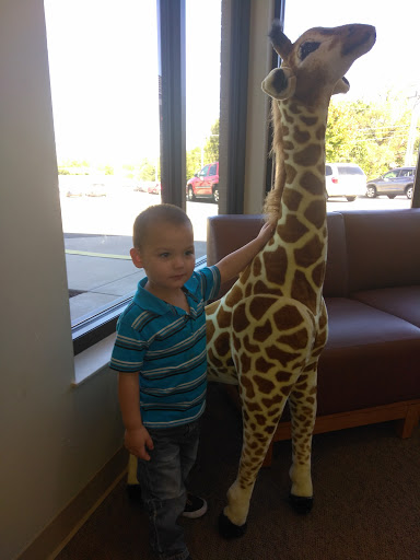 Non-Profit Organization «Infant Crisis Services», reviews and photos