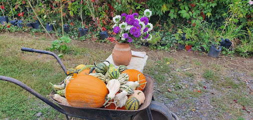 Árokszállásiné Marika