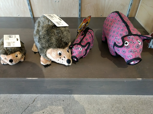Pet Supply Store «The Filling Station Pet Supplies», reviews and photos, 10115 SW Nimbus Ave #100, Portland, OR 97223, USA