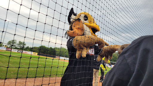 Stadium «Schaumburg Boomers Stadium», reviews and photos, 1999 Springinsguth Rd, Schaumburg, IL 60193, USA