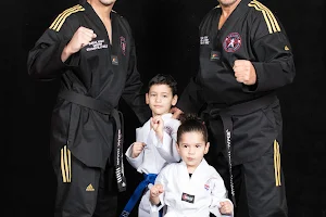 Olympic Martial Arts Centre image