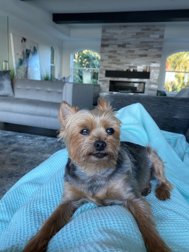 Mortgage Lender «Gateway Capital Mortgage», reviews and photos