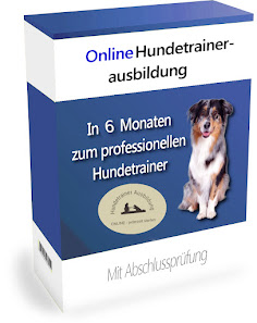 Hundetrainer Ausbildung Online 