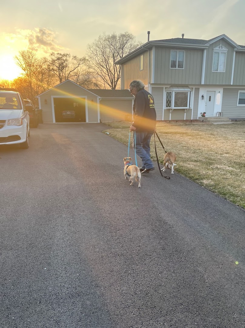 Thunder's Pack Canine Training