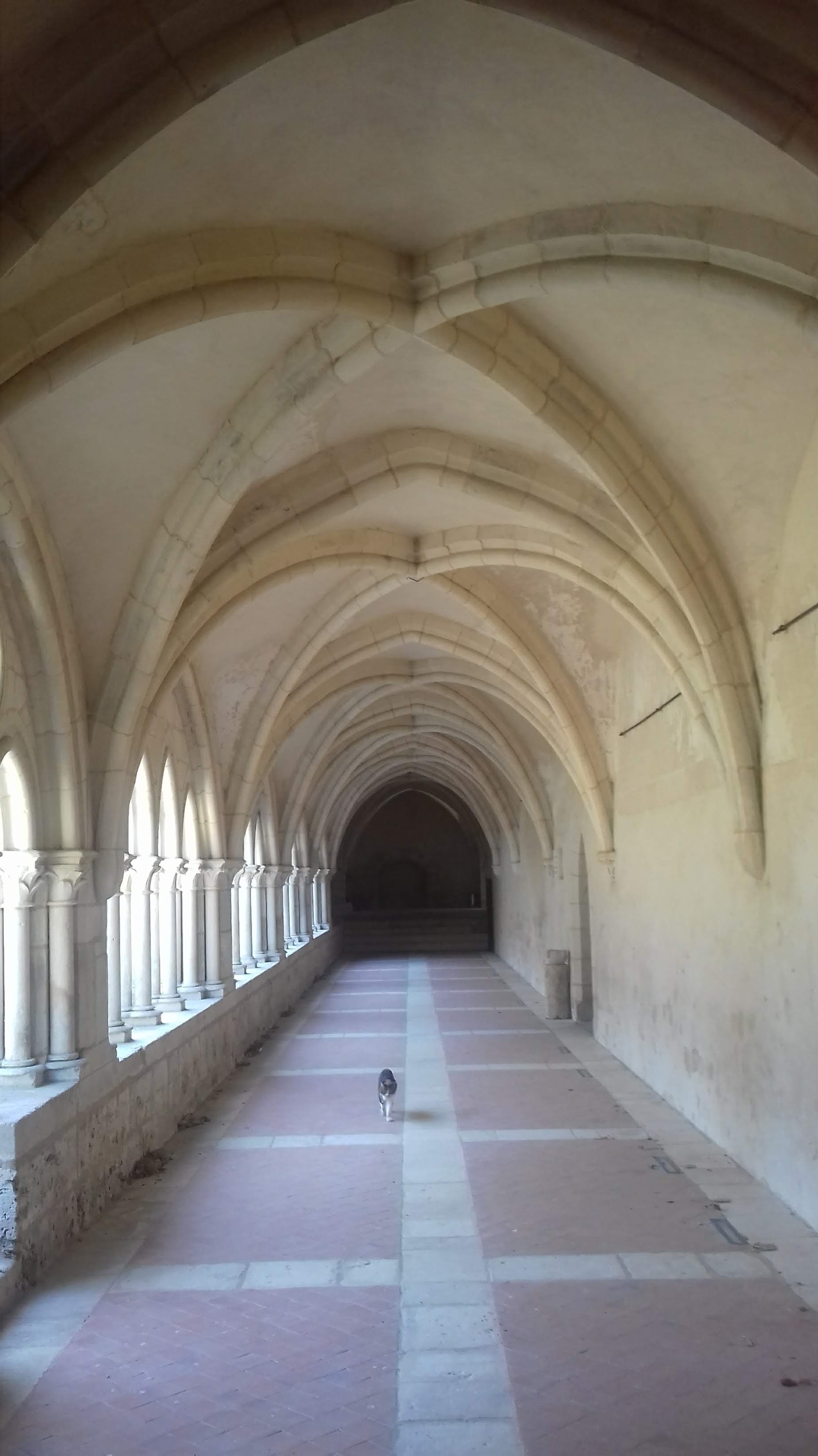 Photo n° 9 de l'avis de Remy.e fait le 10/12/2018 à 12:34