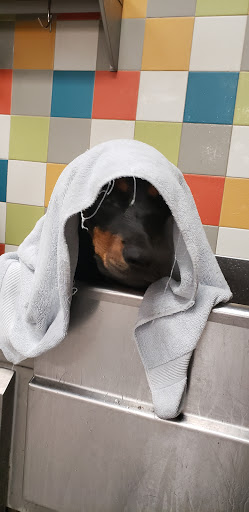 Pet Supply Store «Unleashed by Petco», reviews and photos, 1402 Wilshire Blvd, Santa Monica, CA 90403, USA