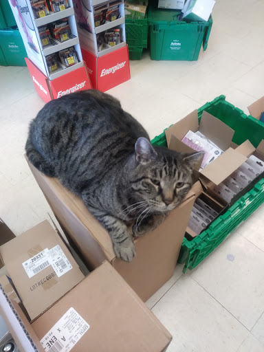 Home Improvement Store «Southfork Hardware - Grantsville», reviews and photos, 40 Commercial Avenue, Grantsville, UT 84029, USA