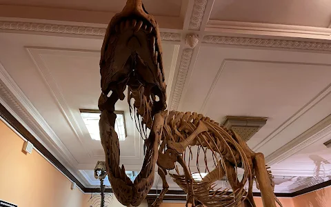 Museum of Evolution image