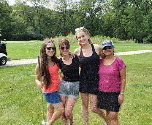 Golf Course «Indian Boundary Golf Course», reviews and photos, 8600 W Forest Preserve Ave, Chicago, IL 60634, USA