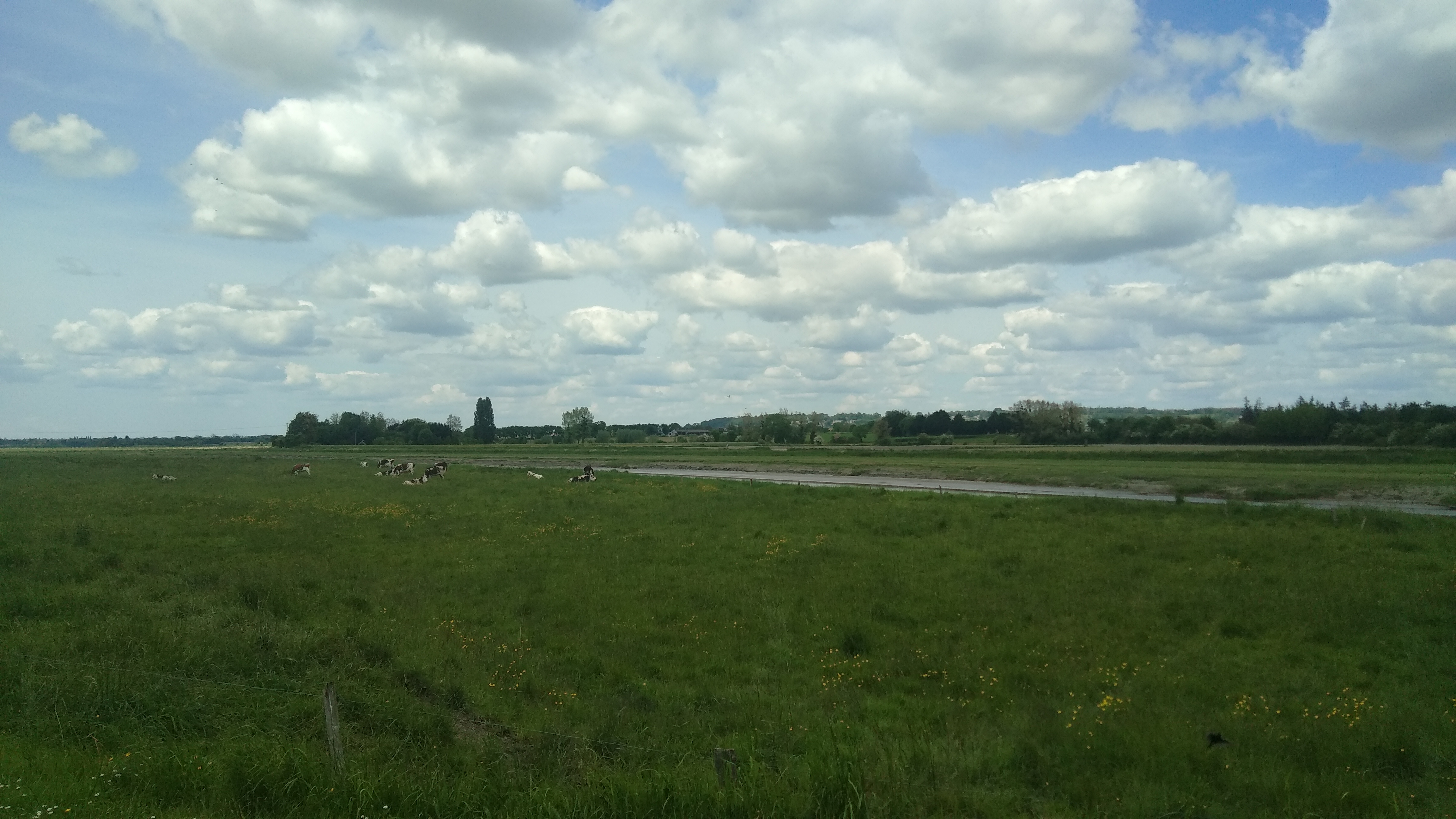 Photo n° 2 de l'avis de Gaëtan. fait le 18/05/2023 à 17:03