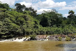 Parque Nacional da Amazônia image