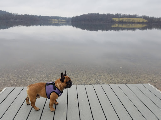 Water Sports Equipment Rental Service «Marsh Creek Water Sports», reviews and photos, 675 Park Rd, Downingtown, PA 19335, USA