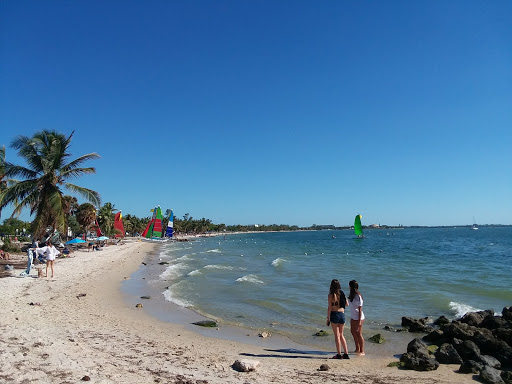 Tax Attorney «The Tax Firm of Charles J. Zimmerer, PA», reviews and photos