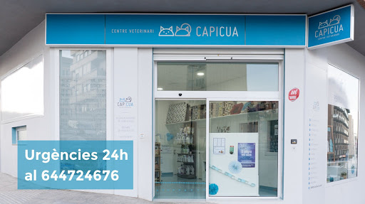 Cap I Cua Centre Veterinari en L'Olleria