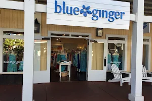 Blue Ginger image
