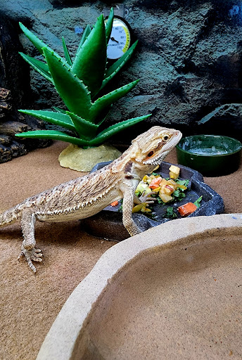 Pet Supply Store «Petco Animal Supplies», reviews and photos, 298 Spring Creek Drive, Franklin, TN 37067, USA