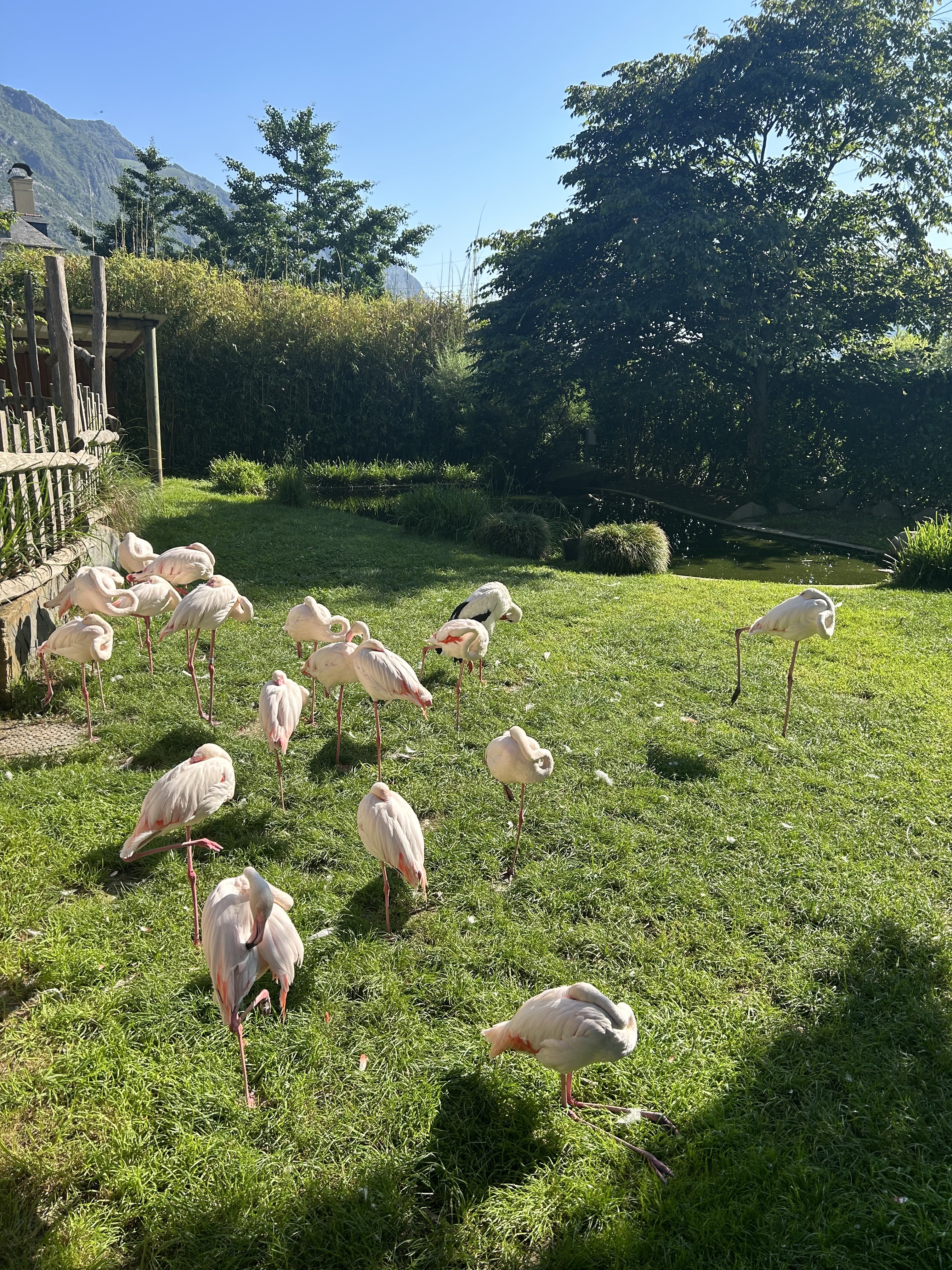 Photo n° 5 de l'avis de Aurélie.e fait le 30/07/2023 à 19:08