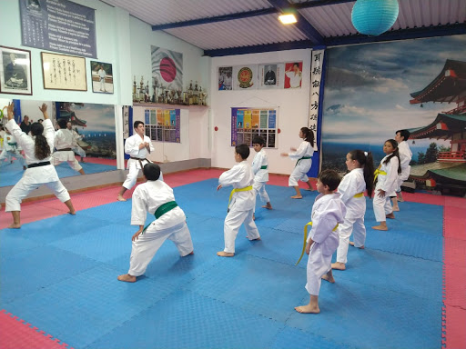 Karate Bogotá