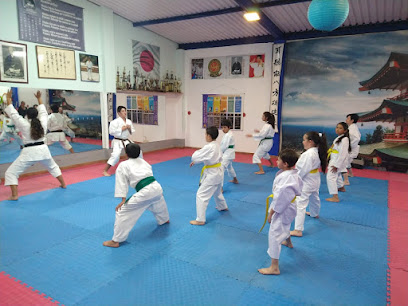 Karate Bogotá