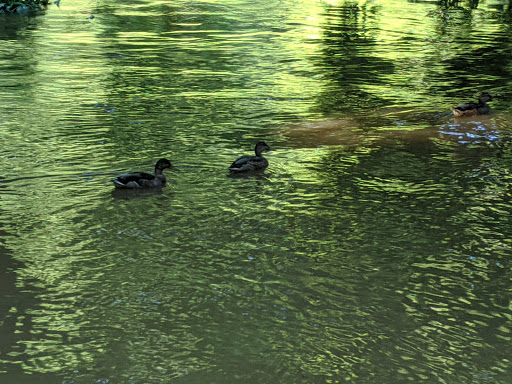 State Government Office «Wilmington State Parks», reviews and photos, 1021 W 18th St, Wilmington, DE 19802, USA