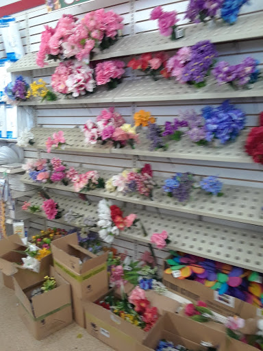 Dollar Store «Dollar Tree», reviews and photos, 14158 NE Woodinville Duvall Rd, Woodinville, WA 98072, USA