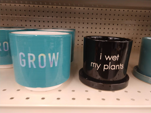 Discount Store «Big Lots», reviews and photos, 2445 Nashville Rd, Bowling Green, KY 42101, USA