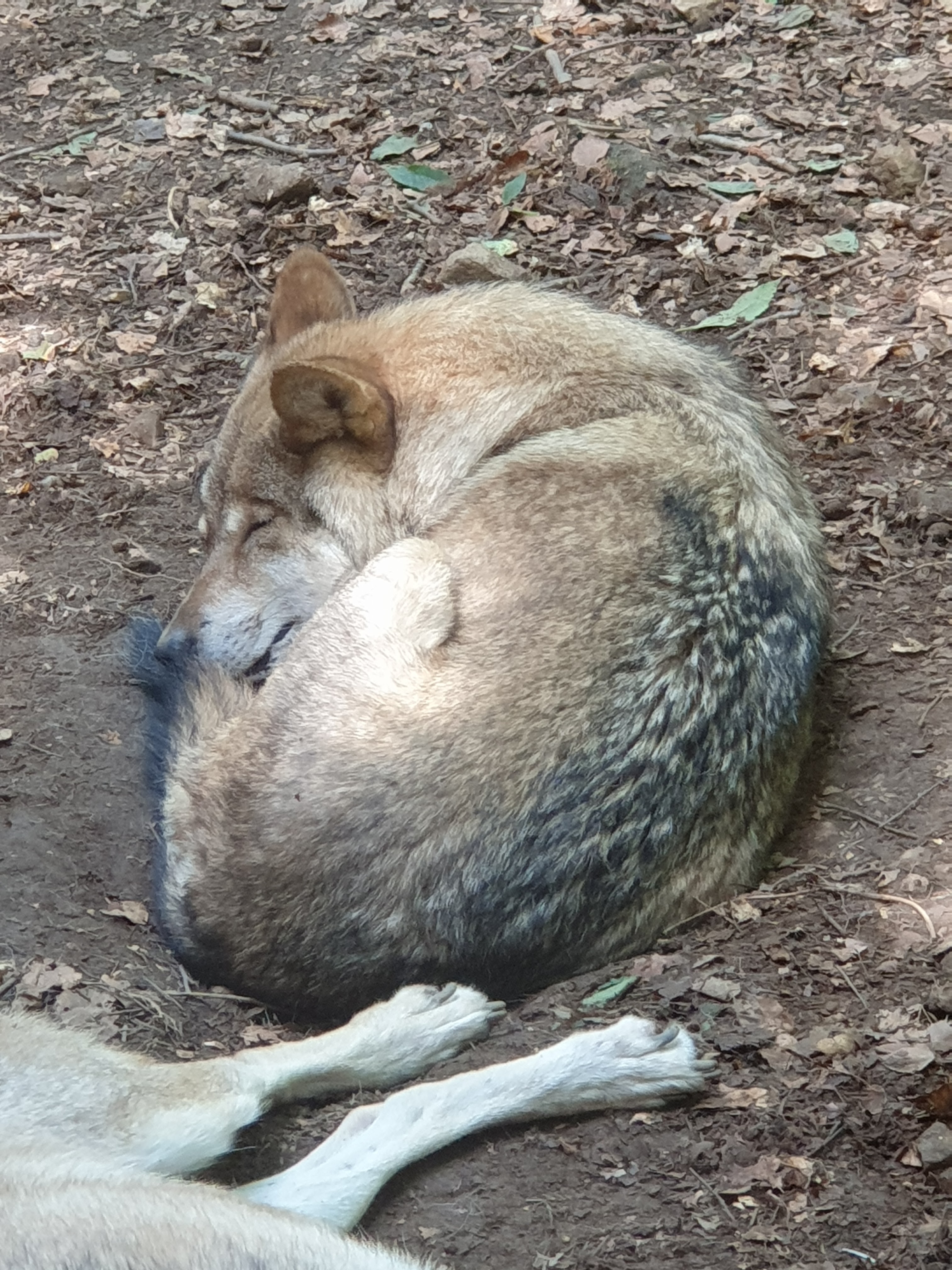 Photo n° 9 de l'avis de Sarah.h fait le 16/09/2020 à 12:45