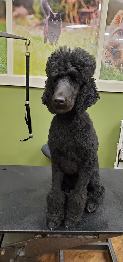 Pet Supply Store «EarthWise Pet Supply», reviews and photos, 7316 Yankee Rd, Liberty Township, OH 45044, USA