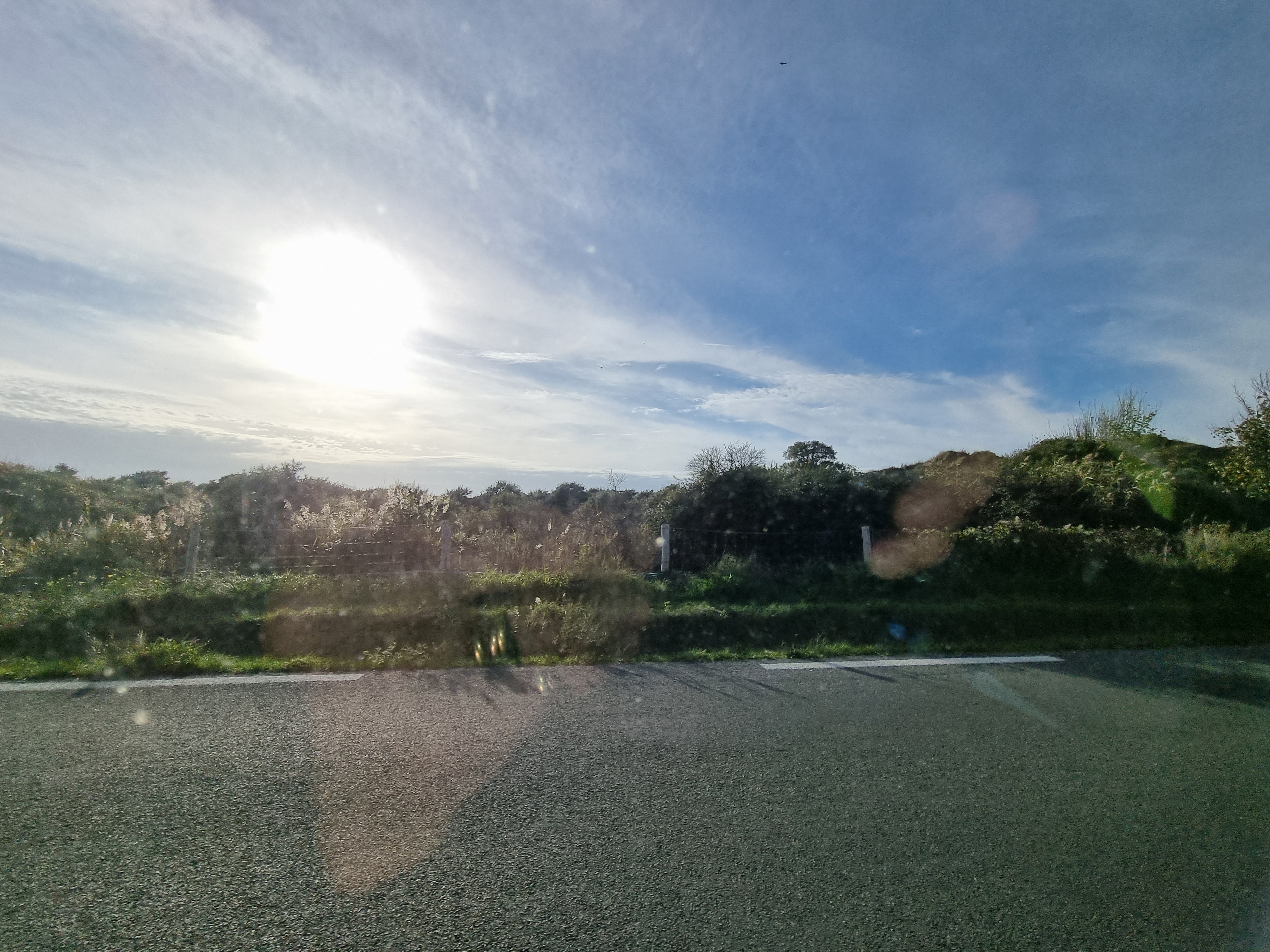 Photo n° 14 de l'avis de Bernard.e fait le 30/10/2022 à 08:28